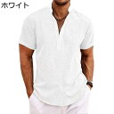 Tシャツ メンズ 半袖シャツ プルオーバー 通気性 薄手 軽い シャツ シンプル 無地 アロハシャツ ビーチシャツ 耐摩耗 大きいサイズ ストリート 夏服 海水浴 ビーチ お出掛け