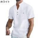 tシャツ メンズ 夏服 半袖 アロハシャツ スタンドカラー ポケット付き 通気性 薄手 軽量 無地 カジュアル ファッション プルオーバー ゆったり シンプル 普段着 お出掛け 旅行(4)