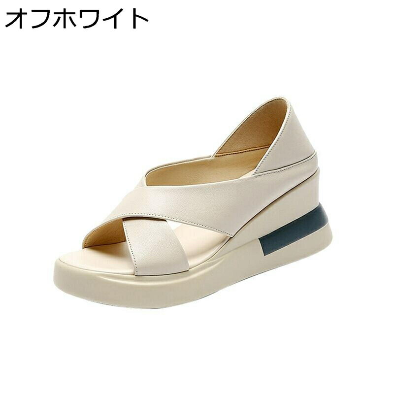 ߥ塼륵  ǥ  괶 ̵ ץȥ ڥ  ȿȯ 餫 Ĺå ӡ ...