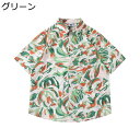 花柄シャツ ハワイ 総柄 ビーチシャツ メンズ 総柄 ペアルック 油絵柄 五分袖 春秋夏着 ボタンダウン アロハ風 日系 リゾート 軽量 薄手 速乾 通気性 日焼け止め服 ユニセックス 海水浴 バカンス