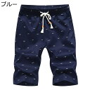 総柄 カジュアルパンツ 海水パンツ メンズ 夏用 半ズボン ビーチウェア ウエストゴム 通気性 速乾 水陸両用 短パン 海パン 男性用 ひんやり 温泉 ジョギング ハイキング コーディネート 大きいサイズ