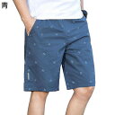 サーフパンツ メンズ 水着 海水パンツ 英字柄 ショーツ 速乾 通気性 春 夏 水陸両用 海パン ビーチウェア ボードショーツ ウエスト調整可能 サイドポケット 半ズボン 散歩 サーフィン プール