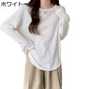 ブラウス レディース Tシャツ レジャー 日焼け止め 着痩せ 通気性 夏 軽量 お出掛け 女性らしい コーデ 吸汗速乾 韓国 日常 エレガント 薄手 カジュアル 涼しい シアー ビーチウエア