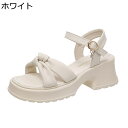 サンダル レディース ミドルヒール ビーチサンダル アウトドア 疲れにくい 歩きやすい 夏 おしゃれ 快適 蒸れない 太ヒール ストラップ カジュアル 通勤 日常 リゾート