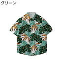 ビーチシャツ メンズ グリーン 半袖 開襟 ハワイアンシャツ 夏服 折り襟 レギュラーフィット 四節着用 古着風 日焼け止め 軽量 速乾通気 海辺 清潔感 気品...