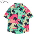 シャツ メンズ 半袖 やしの木 アロハシャツ 開襟 ボタン 夏服 襟付き レギュラーフィット ポケット付き 四季適用 通気 通気速乾 軽量 UV対策 お祭り 海...