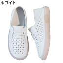 ダッドスニーカー パンチング加工 レディース かかと踏める レースアップシューズ お洒落 軽量 ウォーキングシューズ 運動靴 フラット 通気性 防滑 柔らかい オールシーズン 通学 普段履き 旅行