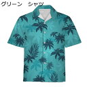 ビーチシャツ 植物柄 3点セット ハワイシャツ ブラウス メンズ 開襟 ショートパンツ 半袖 5分袖 夏物 派手 旅行 おしゃれ サマー 軽い 柔らかい 体型カバー 涼感 上着 少年感 部屋着 お出掛け