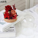 ソープフラワー バラ 妻 ガラスドーム 結婚記念日 敬老の日 フラワーブーケ シャボンフラワー 退職祝い 新年 贈り物 プリザーブドフラワー プレゼント ホームポーチ装飾 フェイクフラワー