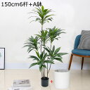 人工観葉植物 大型 造花 人工緑植木 ガーデン カフェ キッチン ベッドルーム インテリア リアル フェイクグリーン 御祝い 開店祝い 母の日 モダン空間に最適 お世話不要 お手入れやすい