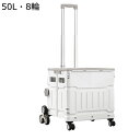 買い物カート ショッピングカート 大容量75L 斜め引っ張るでき 小型カート ショッピングトロリー 耐久性 収納便利 折り畳み ハンドル3段階調節 高齢者 主婦...
