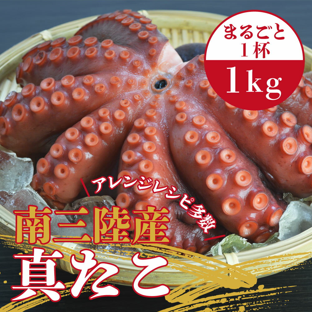 【スーパーセール10％OFF】南三陸産 真たこ 1kg ボイルたこ 志津川産 国産 西の明石 東の志津川 蛸 タ..