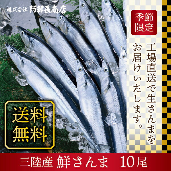 【送料無料 宮城県 気仙沼産 新物 さんま 10尾】 三陸産 鮮さんま 生さんま 水揚げ当日に箱詰め発送 獲れたて 南三陸ホテル観洋 阿部長商店 工場直送 お取り寄せ 秋刀魚 サンマ グルメ 秋の味覚 お刺身 塩焼き 蒲焼き 甘露煮 生姜煮【水揚げ次第順次発送】【指定日不可】