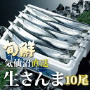 宮城県 気仙沼産 新物 さんま 10尾 三陸産 鮮さんま 生さんま 水揚げ当日に箱詰め発送 獲れたて 南三陸ホテル観洋 阿部長商店 工場直送 お取り寄せ 秋刀魚 サンマ グルメ 秋の味覚 お刺身 塩焼き 蒲焼き 甘露煮 生姜煮【水揚げ次第順次発送】【指定日不可】