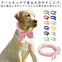 クールネック ひんやりタオル 首ひんやり ペット用暑さ対策 犬 中型犬 2個セット 冷却 ネッククーラー 冷感タオル 夏 犬用冷却リング 猫用冷却リング スカーフ アイスクールリング 小型犬 2個セット 散歩