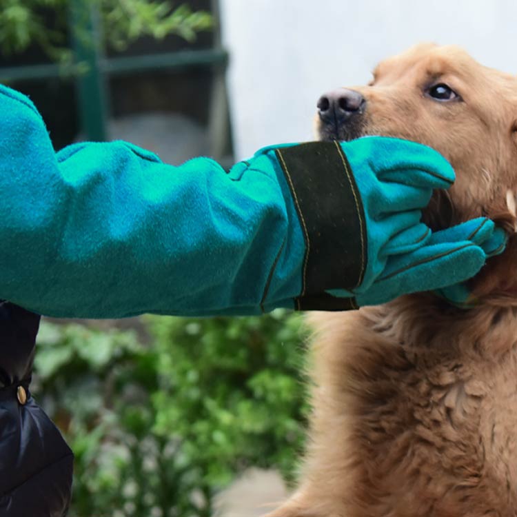 ペット手袋 猫 ペットグローブ 犬 噛みつき防止 手袋 選べる長さ 防止 厚手 35cm 4...