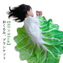 寝かしつけ おくるみ ブランケット 白菜 寝かしつけ 出産祝い 植物 おしゃれ 新生児 赤ちゃん 野菜 退院 SNS映え ニューボンフォト ベビー 85×85cm お昼寝 ひざ掛け 白菜 可愛い キッズ