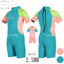 2.5mm ウェットスーツ 子供 女の子 バックジップ ダイビング キッズ 連体水着 サーフィン ことも ジュニア マリンスポーツ セミドライ カワイイ フルスーツ 防寒保温 シュノーケ リング ダイビングスーツ プロ ダイバー 海底探険 鑑賞魚 水仕事 潜水服 水遊び
