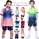 バッドミントン セットアップ Tシャツ 半袖 ショートパンツ 上下セット ハーフパンツセット テニス 卓球 女の子 男の子 通気性 スポーツウェア ジャージ