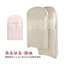 吊るせる 圧縮袋 2サイズセット 衣類圧縮袋 掃除機不要 ダウンコート収納 ハンガー 防カビ 防虫 衣替え 冬服 コート ロングコート ジャケット ダウンジャケット クローゼット 押し入れ 簡単