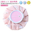 2個セット 氷嚢 アイシング アイスバッグ スポーツ氷嚢 氷のう ひょうのう 発熱 ケガ 熱中症対策 暑さ対策 温冷対応 繰り返し ひんやり 冷却 アイシングバ...