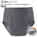 男性 尿漏れパンツ メンズ レディース 300cc 前後に大きな吸収帯 失禁パンツ ちょいもれパンツ 吸水 吸水パンツ 前開き 失禁ショーツ 男女兼用 男性用 ...
