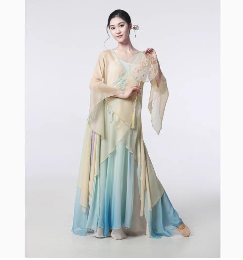 古典舞踊ダンス衣装チャイナ服中華民族ダンスウェア ヨガバレエ衣装 レディース シースルーブラウス スリットトップス ロングチャイナブラウスズボン練習着剣舞ファン...