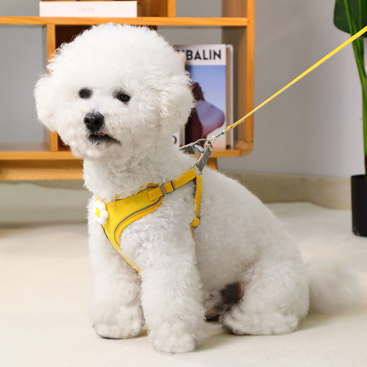 ペット用ハーネス＆リードセット 犬 ハーネス 小型犬 猫 中型犬 おしゃれ 犬用 胴...