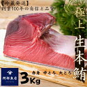 本鮪 国産 生 3キロ （3000g）本まぐろ 赤身 中とろ 大とろ 本マグロ ブロック まぐりづくし まぐろ丼 握り【冷蔵発送】