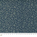 【Moda モダ】Kate's Garden Gate-31645-19(2E-07) ブルー系 青色 紺 ネイビー リーフ柄 葉っぱ柄 つる草模様 コットン100% シーチング【10cm単位販売】