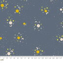 【Moda モダ】Spooky Darlings-RS5077-12(2E-08) グレー ねずみ色 星柄 月 ハロウィン Halloween コットン100% シーチング ruby star ルビースター【10cm単位販売】