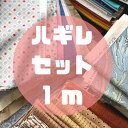 【お得】柄はおまかせ (約30~40cm) 合わせて1m分切れ端セット