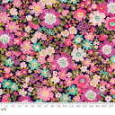 【Moda モダ】Regent Street Lawns 2016-33192-17(ローン生地)(2C-03) ネイビー系 ピンク系 花柄 ファンシー コットン100%【10cm単位販売】(3)