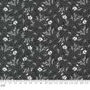 【クーポン最大500円OFF！】Rustic Gatherings-49201-15(3F-18) グレー 花柄 ヴィンテージ コットン100％ シーチング【10cm単位販売】