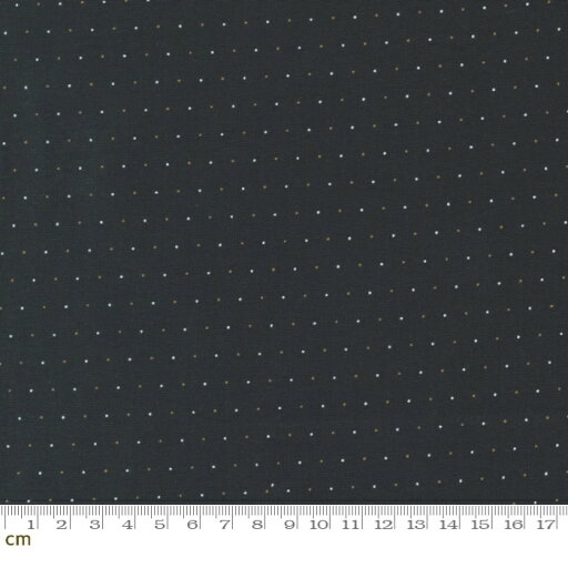 【Moda モダ】Rustic Gatherings-49205-14(2B-01) ブラック系 ドット ヴィンテージ コットン100% シーチング【10cm単位販売】 【Moda モダ】Rustic Gatherings-49205-14(2B-01) ブラック系 ドット ヴィンテージ コットン100% シーチング【10cm単位販売】