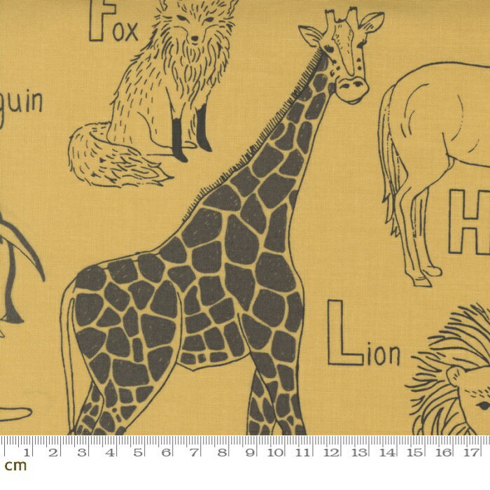 ١㤨֡Moda ABC xyz-20812-14(2E-07  ޥɥ ưʪ ե٥å åȥ100% 󥰡10cmñۡפβǤʤ198ߤˤʤޤ