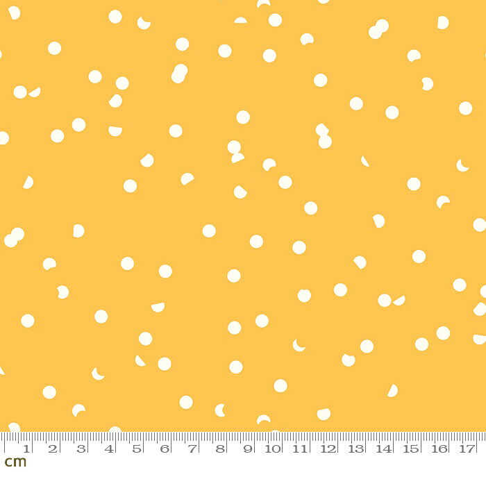 yN[|ő500~OFFIzHole Punch Dot-RS3025-26(3F-22) CG[n F hbg  L Rbg100% V[`Oy10cmPʔ̔z