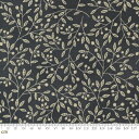 【Moda モダ】Bloom And Grow-7051-16(2B-09) 植物柄 リーフ 木の実 ブラック ヴィンテージ パッチワーク ハンドメイド コットン100% シーチング 110cm幅【10cm単位販売】(3)