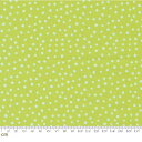 【Moda モダ】Flower Patches-21829-18(2A-05) ドット 水玉 イエローグリーン デジタルプリント ビビットカラー シーチング コットン100% シーチング 110cm幅【10cm単位販売】(3)