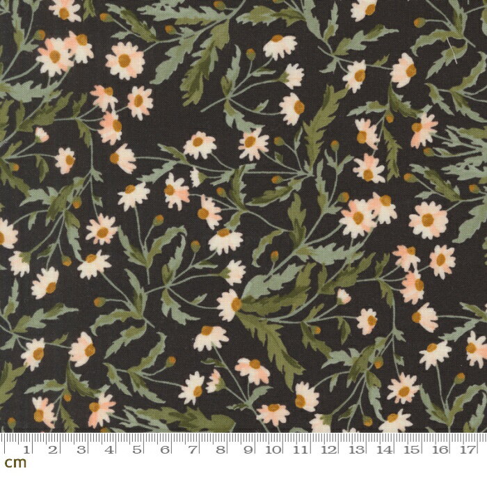 Rakuten - 【Moda-k モダ】Brookside-36082-19(3A-03) 花柄 リーフ柄 ブラック シーチング 110cm幅 パッチワーク ハンドメイド【10cm単位販売】