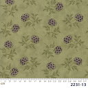 【Moda モダ】Clover Meadow-2231-13(2D-03) 花柄 フラワー 植物 グリーン系 モスグリーン系 パープル コットン100% シーチング【10cm単位販売】