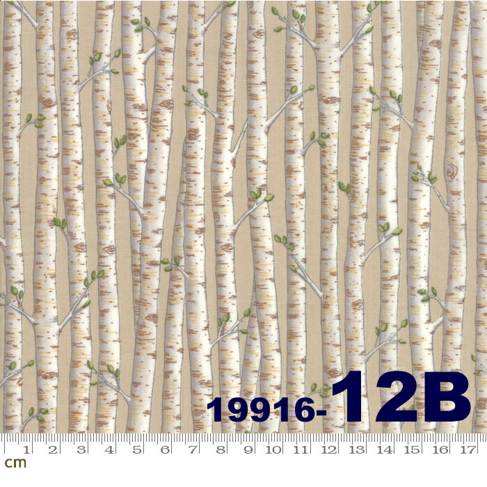 Cotton （Patterned Cloth） - 【クーポン最大500円OFF！】Explore(エクスプロー)-19916-12B(ブラッシュド加工)(2D-02) 植物 樹木 ツリー 白樺 ベージュ系 ホワイト系 コットン100% シーチング【10cm単位販売】