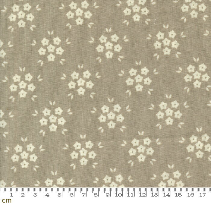 ١㤨֡Moda Hollyhocks And Roses-3055-19(3B-09 졼  ƥ 襤 åȥ100%  110cm10cmñۡפβǤʤ198ߤˤʤޤ