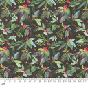 【Moda モダ】Love And Cheer-21836-16(3A-03) 花柄 木の実 植物 クリスマス ブラック系 レッド系 グリーン系 ボタニカル柄 フローラル パッチワーク シーチング 110cm幅【10cm単位販売】