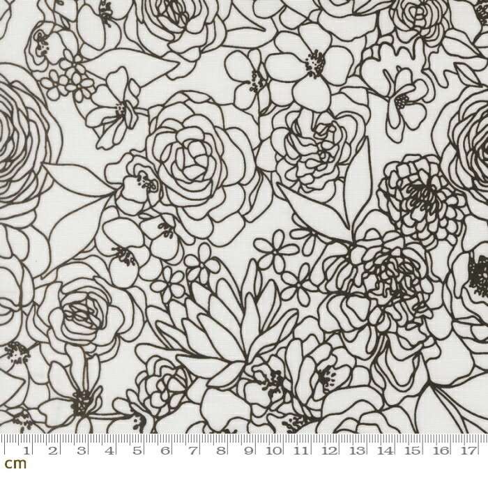樂天商城 - 【Moda-k モダ】True To Hue-11560-31(3A-07) 植物柄 花柄 ボタニカル 線画 ホワイト系 ブラック系 モノトーン かわいい シーチング 110cm幅 パッチワーク ハンドメイド【10cm単位販売】