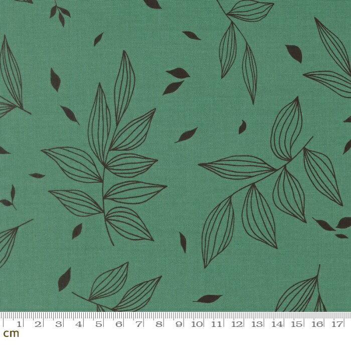 樂天商城 - 【Moda-k モダ】True To Hue-11561-13(3A-07) リーフ柄 線画 グリーン系 ブラック系 かわいい シーチング 110cm幅 パッチワーク ハンドメイド【10cm単位販売】