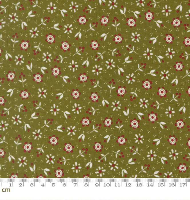 ブランド moda fabric > デザイナー Sweetwater > シリーズ Chilly > 色ちがい > 【Chilly(チリー)】 一年でいちばん心ときめく季節がやってきました。トラディショナルな雰囲気に、ちょっぴり遊び心を効かせた、とびきりキュートな小さなペンギンが主役のクリスマスコレクション。クリスマスの文字柄やペンギン、小花、チェックやギンガム、ドット、やわらかなテクスチャ無地までがそろいました。クリスマスらしいレッドとグリーンを基調に、生成りやくすんだブルーを添えた温かみのある配色です。 品番：moda-55712-23 素材：綿 100％ 生地種類：シーチング 生地巾：約110cm 生地の厚み： ・メジャーは目安ですので、ご参考程度にご利用ください。 ・お使いのモニターや端末によって実際のものと色が異なる場合がございます。 moda fabric モダ ファブリックは有名デザイナーたちによる洗練されたデザインと上質なUSAコットンが魅力の世界トップブランド。豊富なシリーズはテイストが統一されており、組み合わせるだけで簡単に素敵なパッチワークや小物作りを楽しめます。 ＼世界基準の安心を、あなたの作品に／ 国際安全認証「エコテックス®スタンダード100」取得した生地です。1,000を超える有害化学物質の検査をクリアした、人にも環境にもやさしいサステナブル品質。肌に触れる作品づくりにもおすすめ。