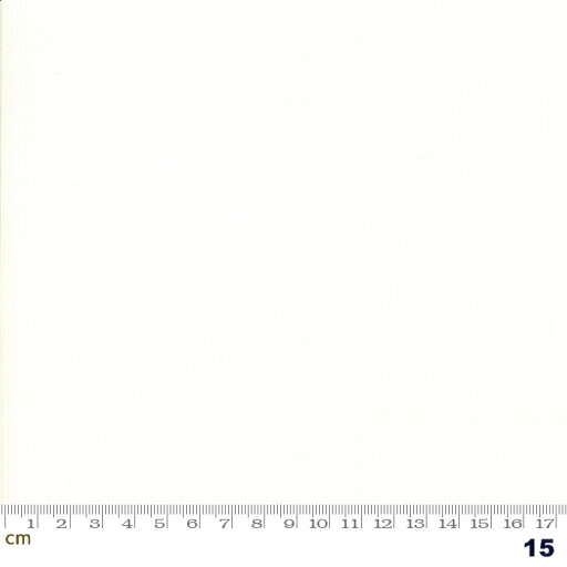 【Moda モダ】My Redwork Garden-2954-15(2E-06)ホワイト系 コットン100% シーチング 110cm幅【10cm単位販売】 【Moda モダ】My Redwork Garden-2954-15(2E-06)ホワイト系 コットン100% シーチング 110cm幅【10cm単位販売】