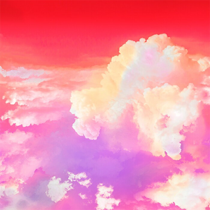 nora. Υ23SP-TX1023-B(1F-03)  ͼ å ԥ ե󥷡 Ū åȥ100%  110cm10cmñ