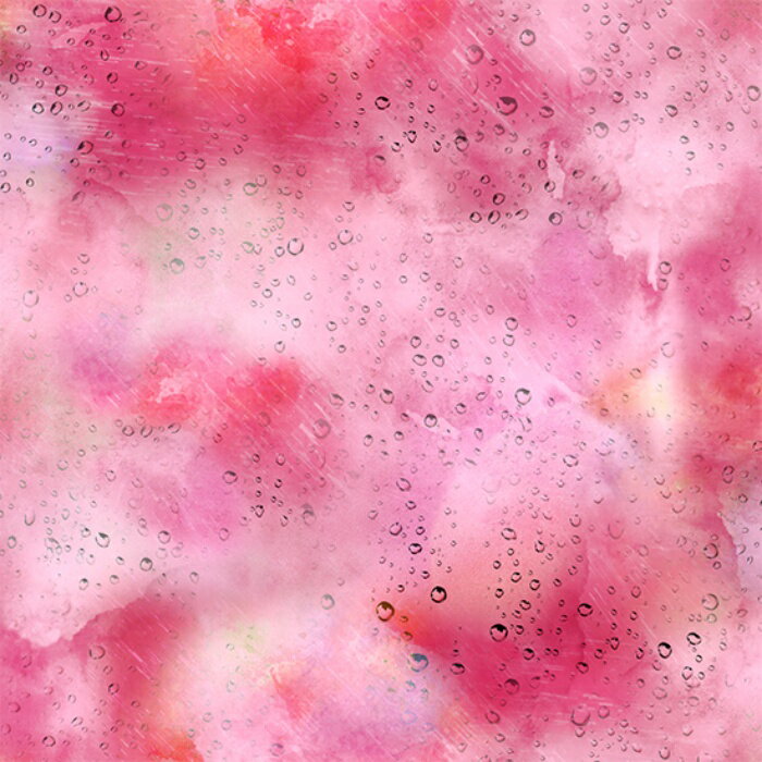 nora. Υ23SP-TX1024-B(1F-03) ԥ  ͼ ũ åȥ100% 󥰡10cmñ